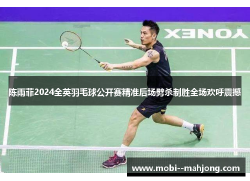 陈雨菲2024全英羽毛球公开赛精准后场劈杀制胜全场欢呼震撼