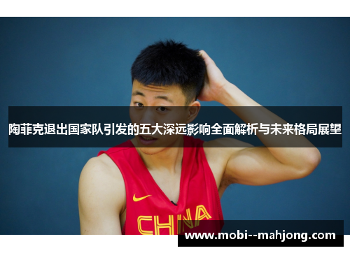 陶菲克退出国家队引发的五大深远影响全面解析与未来格局展望
