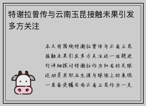 特谢拉曾传与云南玉昆接触未果引发多方关注
